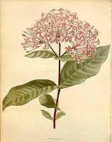  no thumbnail available