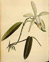  no thumbnail available