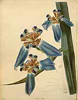  no thumbnail available