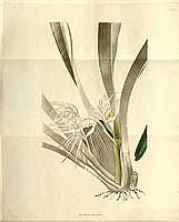  no thumbnail available