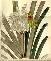  no thumbnail available