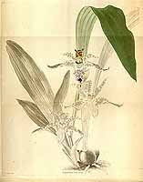  no thumbnail available