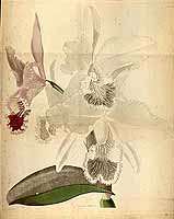  no thumbnail available