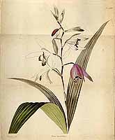  no thumbnail available