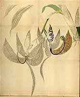  no thumbnail available