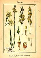  no thumbnail available