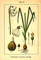  no thumbnail available