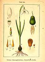  no thumbnail available