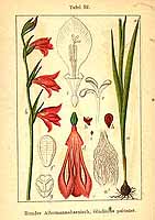  no thumbnail available