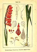  no thumbnail available