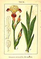  no thumbnail available