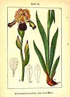  no thumbnail available