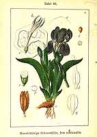  no thumbnail available