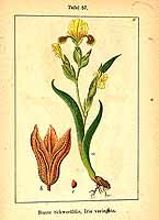  no thumbnail available