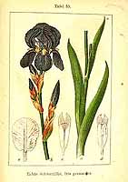  no thumbnail available