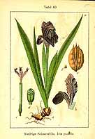  no thumbnail available