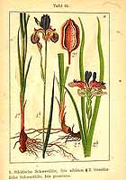  no thumbnail available