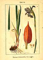  no thumbnail available