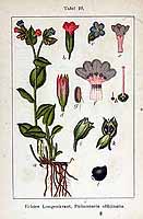  no thumbnail available