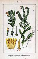  no thumbnail available