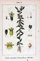  no thumbnail available