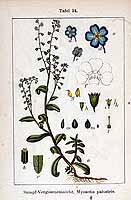  no thumbnail available