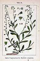  no thumbnail available