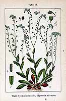  no thumbnail available