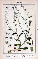  no thumbnail available