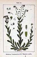  no thumbnail available