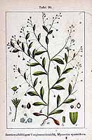  no thumbnail available