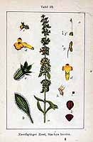  no thumbnail available