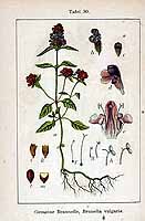  no thumbnail available