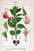  no thumbnail available