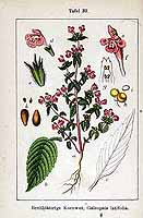  no thumbnail available