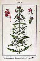  no thumbnail available