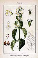  no thumbnail available