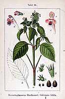  no thumbnail available