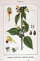  no thumbnail available