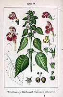  no thumbnail available