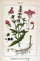  no thumbnail available