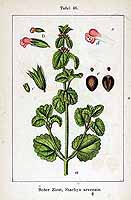  no thumbnail available