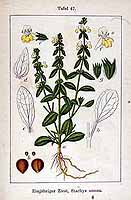  no thumbnail available