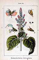  no thumbnail available