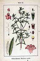  no thumbnail available