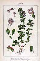  no thumbnail available