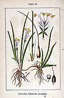  no thumbnail available