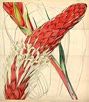  no thumbnail available