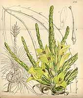  no thumbnail available