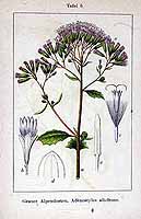  no thumbnail available